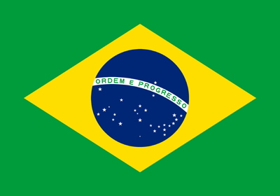 Português - Brasil