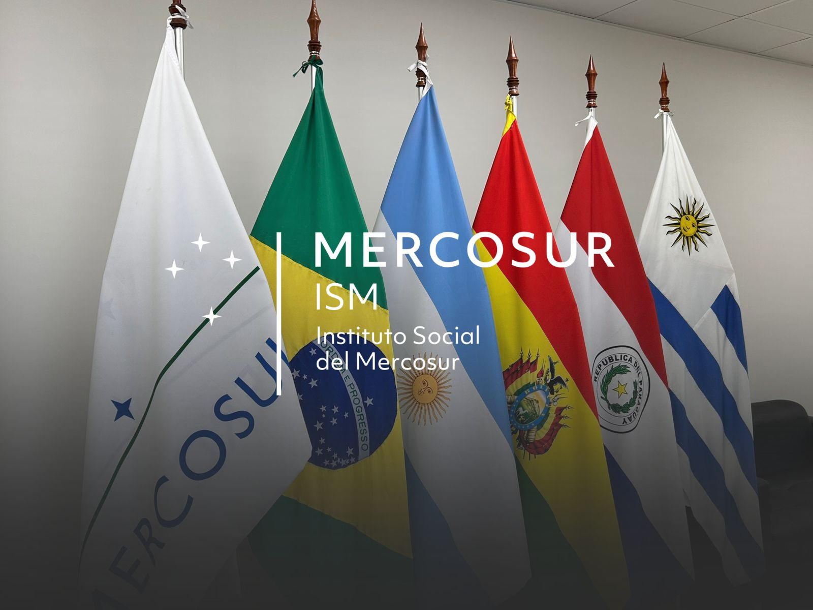 Instituto Social del MERCOSUR - Ciclo de Webinarios